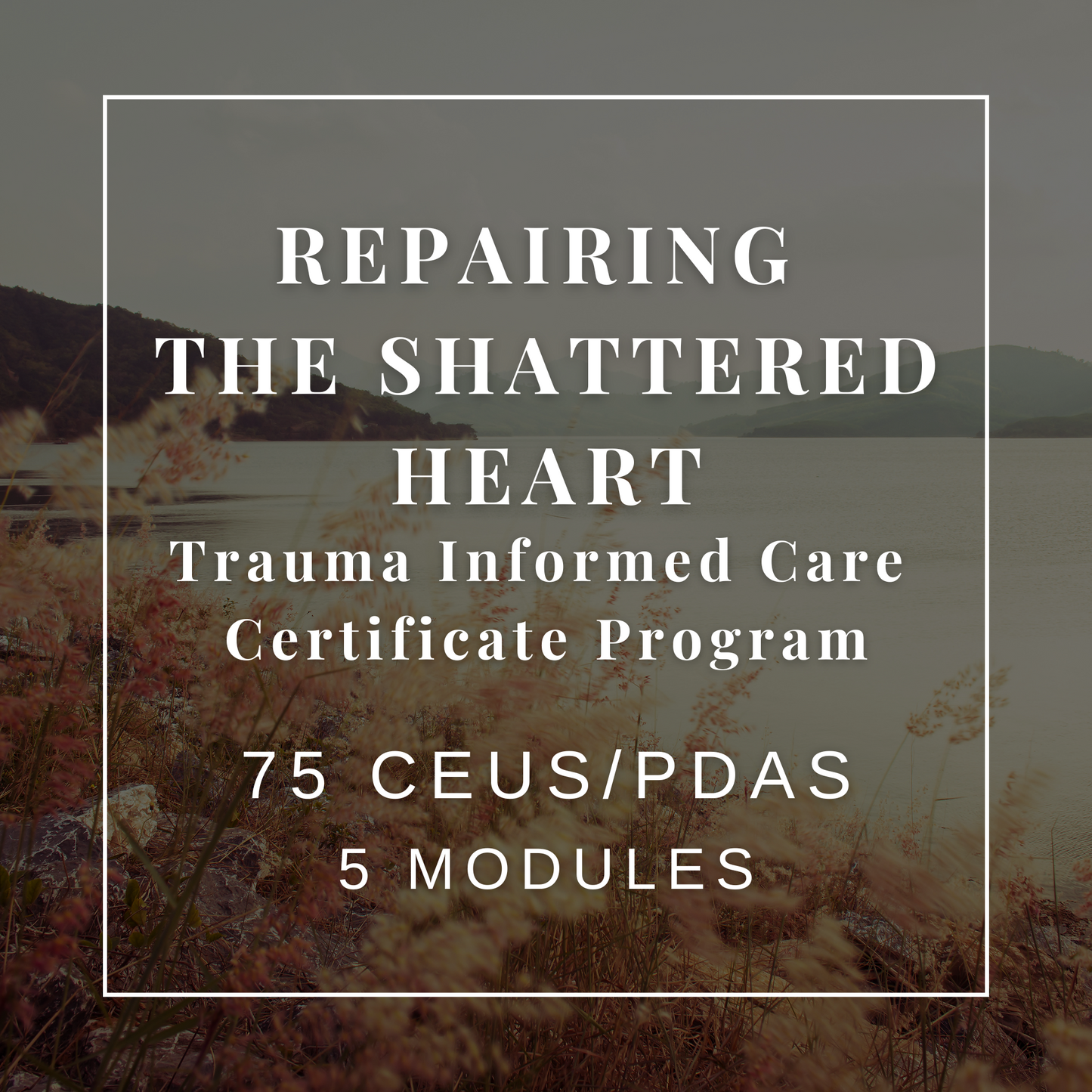 Repairing the Shattered Heart - Trauma Informed Care Certificate Program