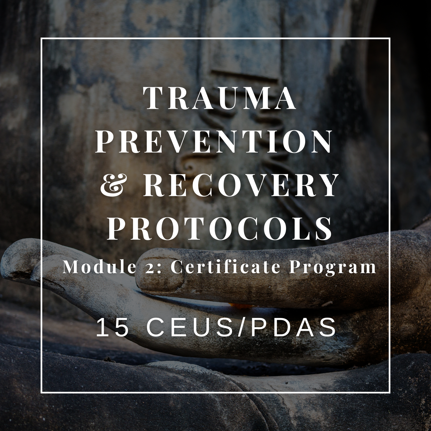 Trauma Prevention and Recovery Protocols/Clinical Toolkit