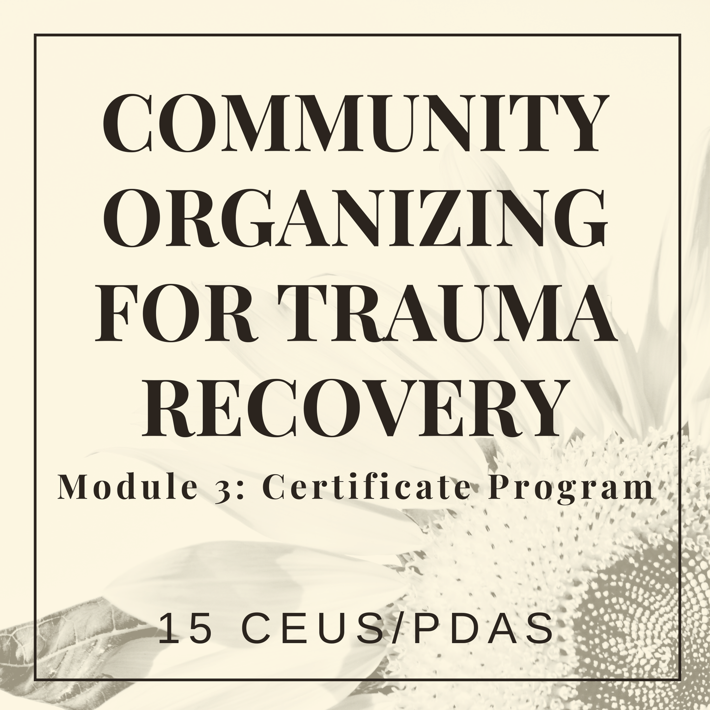 Advanced Community Organizing for Trauma Recovery - How to Be Effective, Ethical, and Inclusive