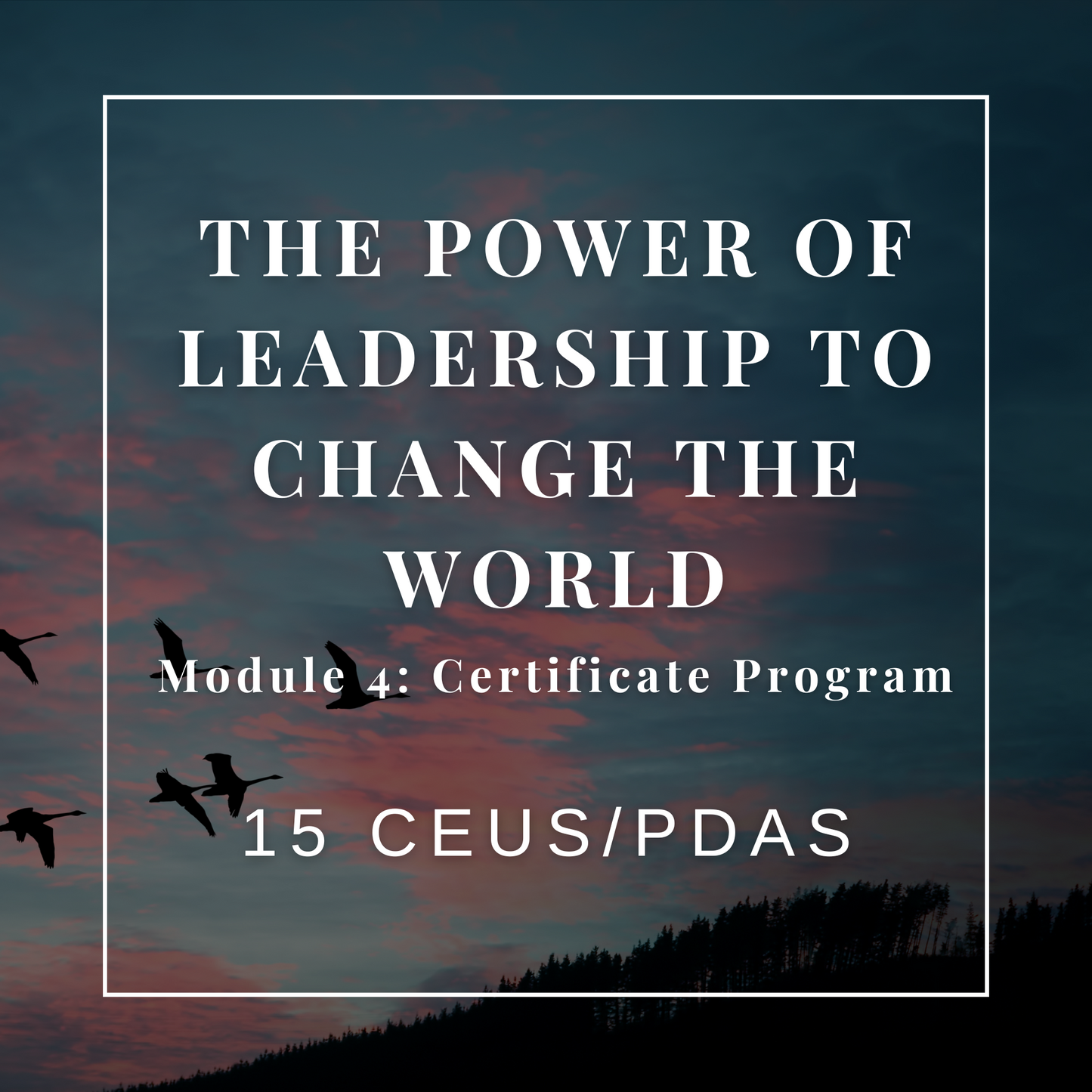 The Power of Leadership to Change the World