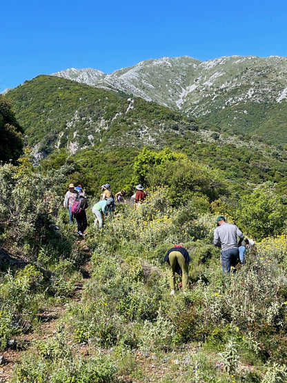 Greek Holistic Herbal Wisdom 2: A Five-Day Seminar in Greece