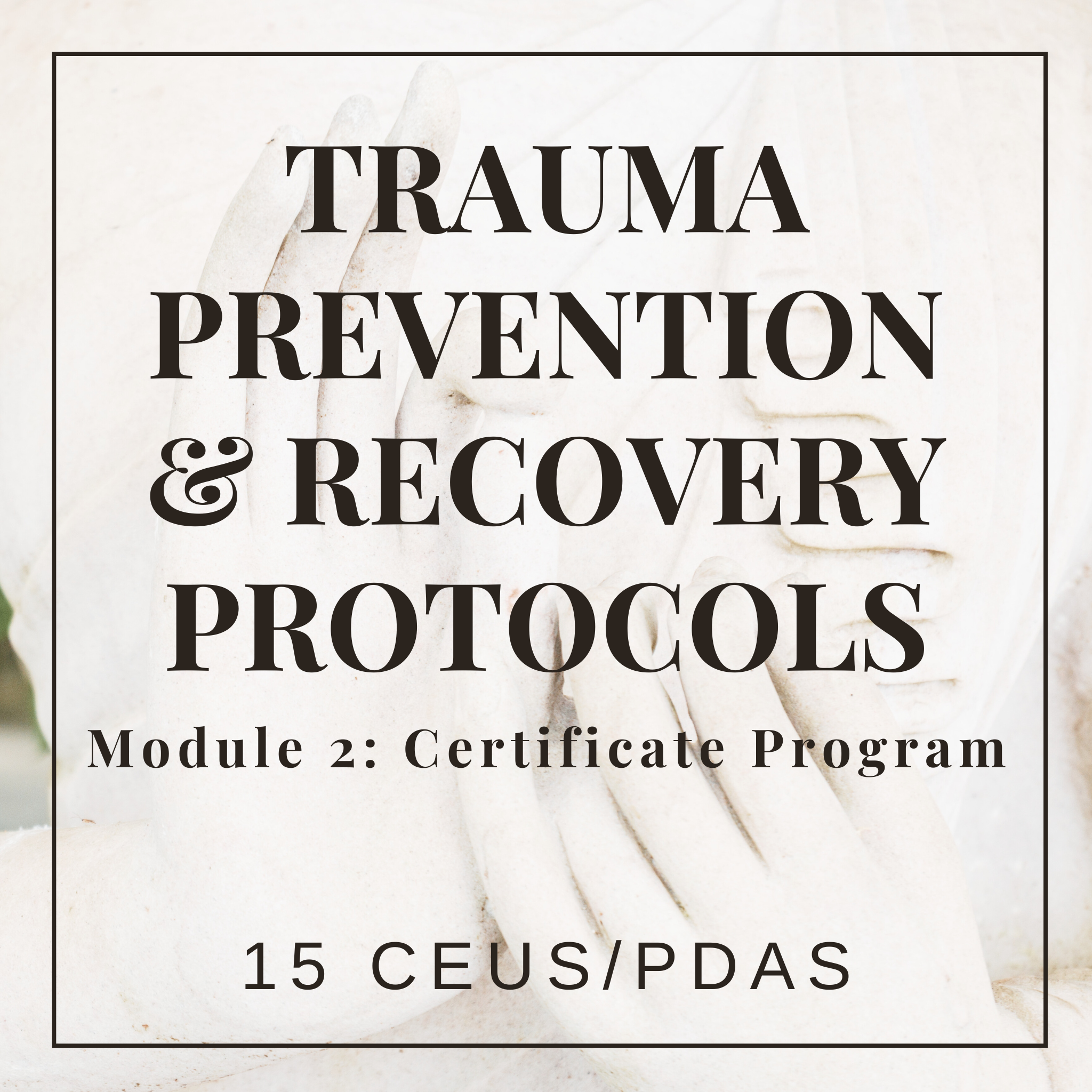 Trauma Prevention and Recovery Protocols/Clinical Toolkit ...