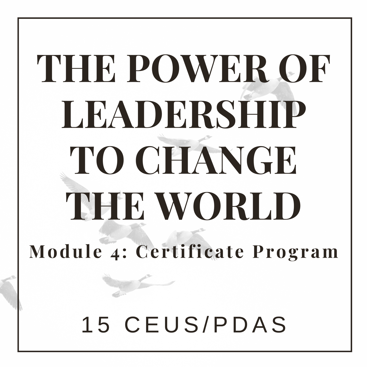 The Power of Leadership to Change the World