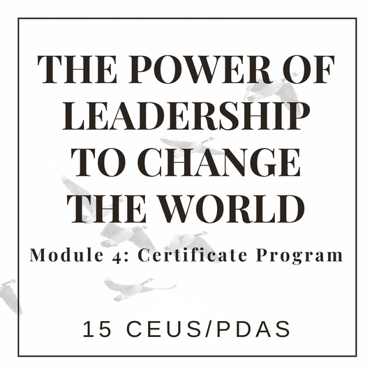 The Power of Leadership to Change the World