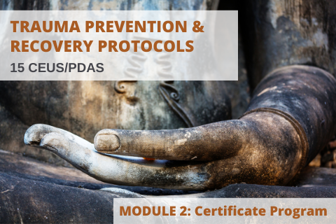 Trauma Prevention and Recovery Protocols/Clinical Toolkit