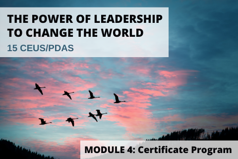The Power of Leadership to Change the World (Online)