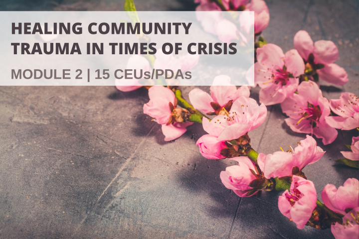 Healing Community Trauma in Times of Crisis - Module 2