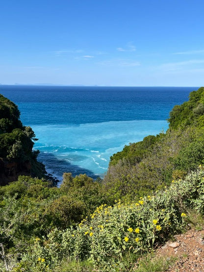 Greek Holistic Herbal Wisdom 2: A Five-Day Seminar in Greece